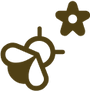 usp image