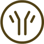 usp image